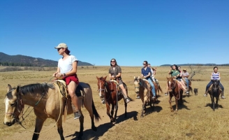 Want to learn to speak Spanish but dread it? Liven it up by immersing yourself in the culture. Learn Spanish in lovely Guadalajara with our proven program.