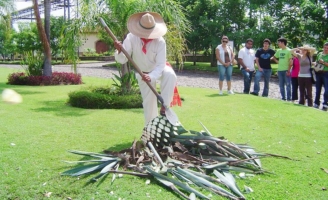 Want to learn to speak Spanish but dread it? Liven it up by immersing yourself in the culture. Learn Spanish in lovely Guadalajara with our proven program.